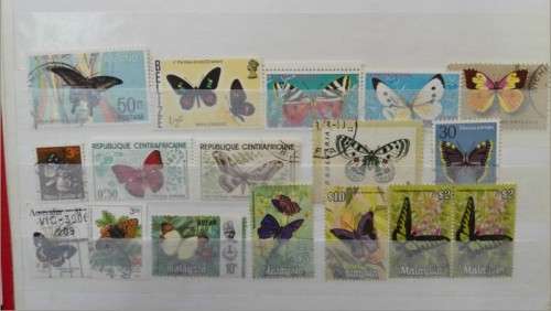 Selection Thematic butterflies