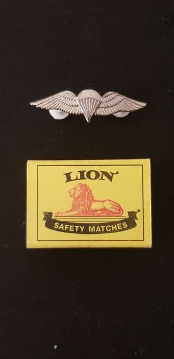 SADF Basic ParaTrooper Wings