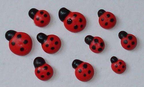 Beetles
