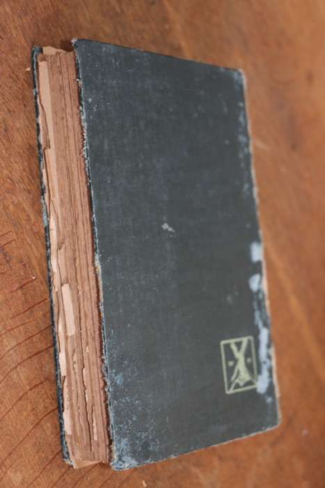 Beautiful Antique Africana Book - The Transvaal From Within - JP Fitzpatrick - 1900