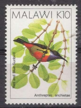 MALAWI (1988)