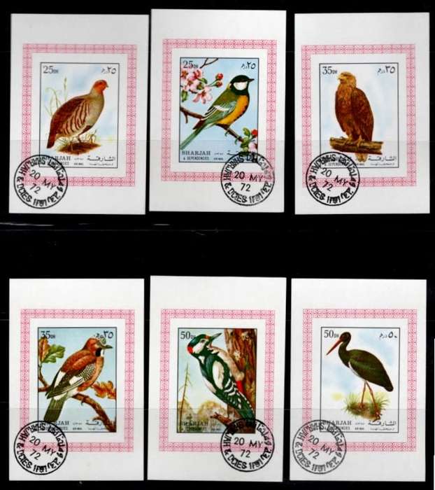 SHARJAH (Birds)