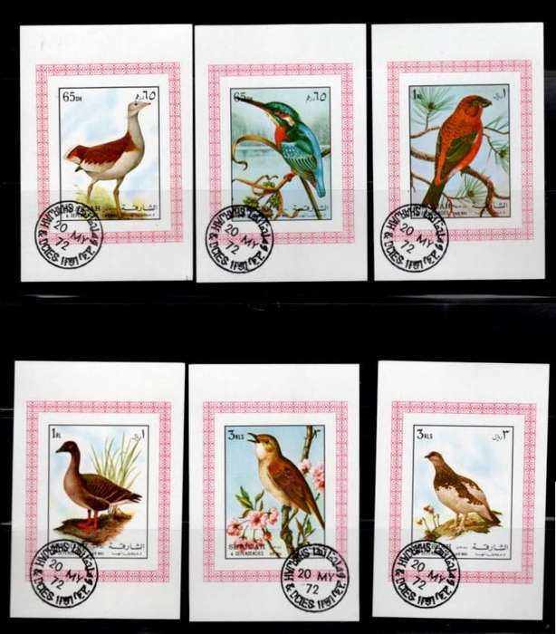 SHARJAH (Birds)