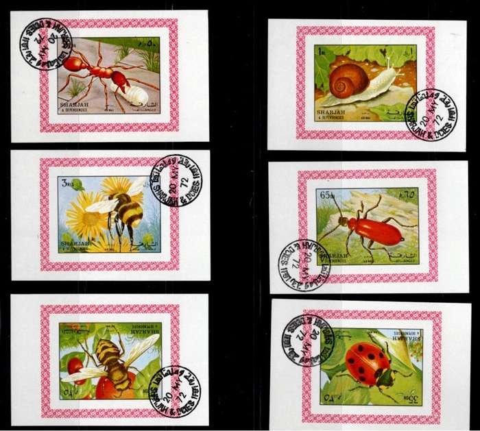 SHARJAH (Insects)