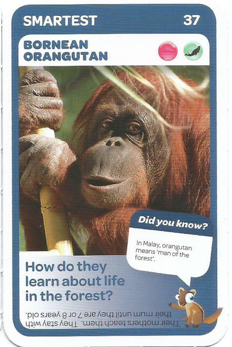 "SUPER ANIMALS" - PICK&PAY TRADING CARD COLLECTION -  CARD 37