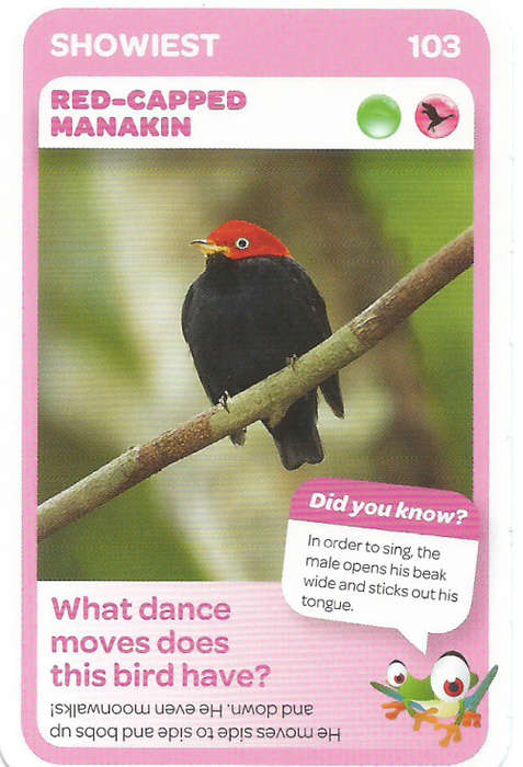 "SUPER ANIMALS" - PICK&PAY TRADING CARD COLLECTION -  CARD 103