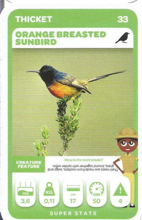 PICK n PAY "SOUTH AFRICAN SUPER ANIMALS" SERIES 2 - TRADING CARD 33