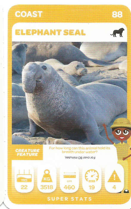 PICK n PAY "SOUTH AFRICAN SUPER ANIMALS" SERIES 2  - TRADING CARD 88