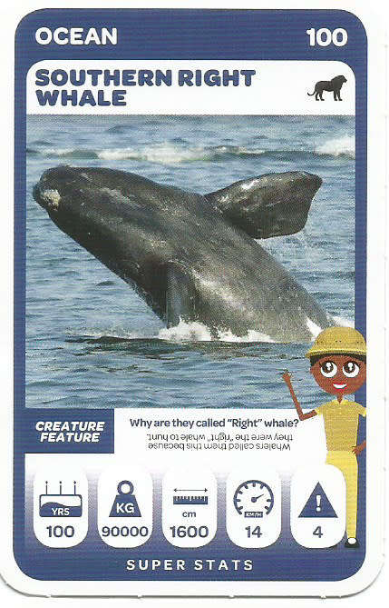 PICK n PAY "SOUTH AFRICAN SUPER ANIMALS" SERIES 2 - TRADING CARD 100
