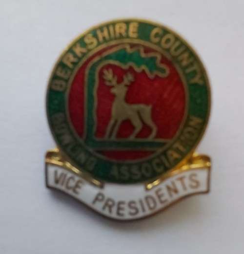 BERKSHIRE `VICE PRESIDENTS`  BOWLS  - LAPEL BADGE