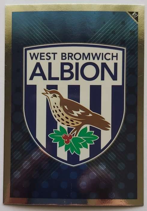 WEST BROMWICH ALBION - TOPPS MATCH ATTAX `EXTRA` 2011 - FOIL `BADGE` TRADING CARD R17