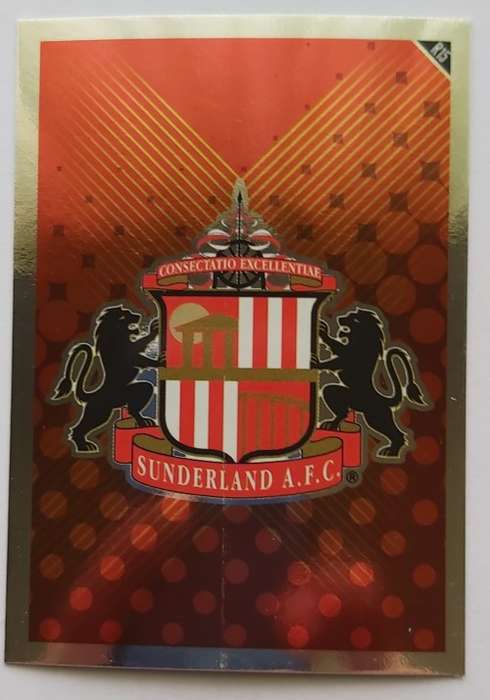 SUNDERLAND AFC - TOPPS MATCH ATTAX `EXTRA` 2011 - FOIL `BADGE` TRADING CARD R15