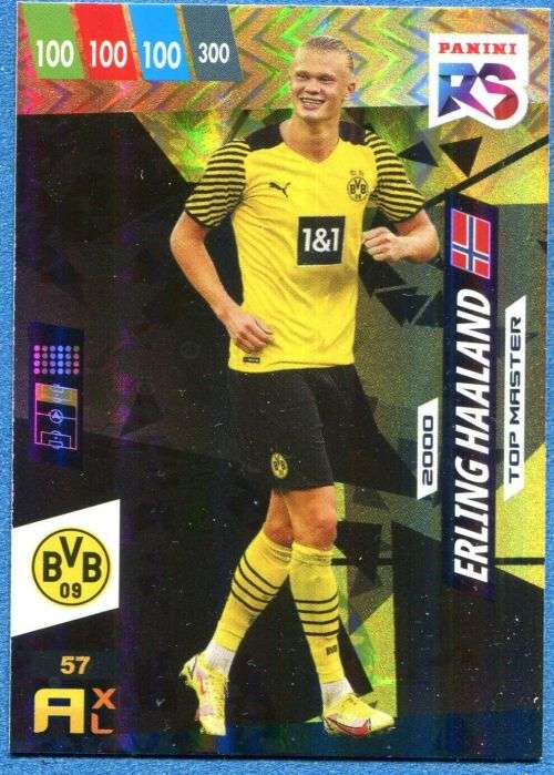 ERLING HAALAND - PANINI `FIFA 365 COLLECTION` 2021/22 - RISING STAR `TOP MASTER` FOIL TRADING CARD