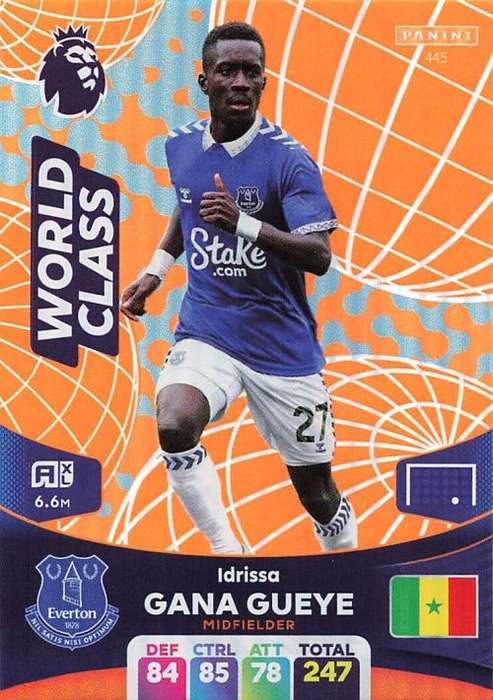 IDRISSA GUEYE - PANINI English Premier League 2023/24 -FOIL `WORLD CLASS` TRADING CARD 445