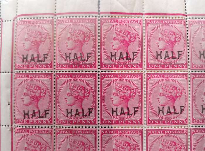 NATAL 1895 Surcharged `HALF` on 1d Rose - SACC 108 and 108B Sheet 48 Stamps