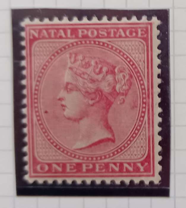 NATAL 1882/1889  1d ROSE STAMP  - SACC 95 M/MINT