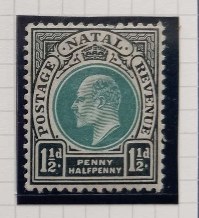 NATAL 1902/03 - SACC111 1 1/2d Green and Black Stamp - M/Mint