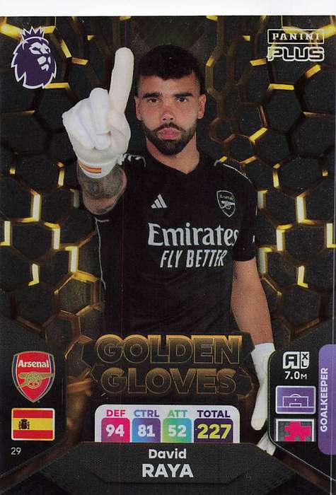 DAVID RAYA - PANINI E/Premier League PLUS 2024 - FOIL `GOLDEN GLOVES` TRADING CARD 29