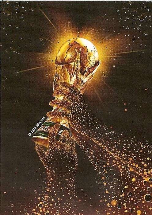 FIFA WORLD CUP 2010 `PREMIUM` COLLECTION - RARE TROPHY FOIL TRADING CARD
