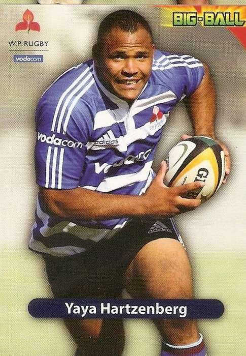YAYA HARTZENBERG - BIG BALL 2010 RUGBY COLLECTION -  BASE TRADING CARD WP40