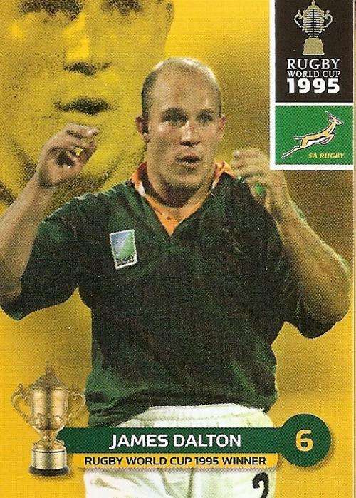 JAMES DALTON  - BIG BALL 2011 RUGBY WORLD CUP COLLECTION - BASE TRADING CARD 190