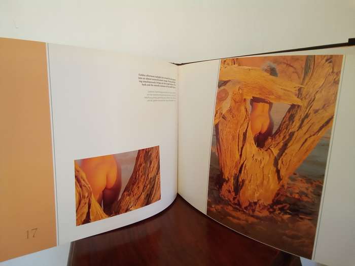 Highly Collectable First Edition `Naked Wilderness` by Colin Mead