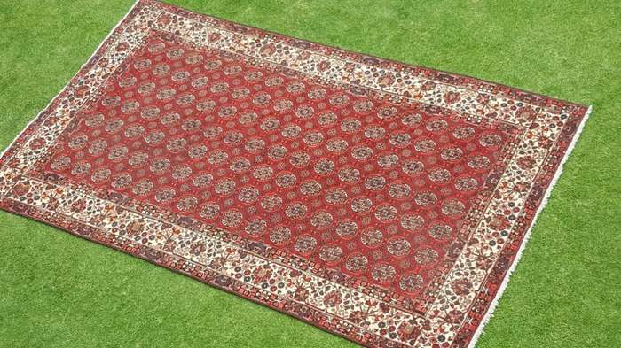 Beautiful Xtra Large New Authentic Bakhtiari Persian Carpet 4.4m x 2.5m Hand Knotted
