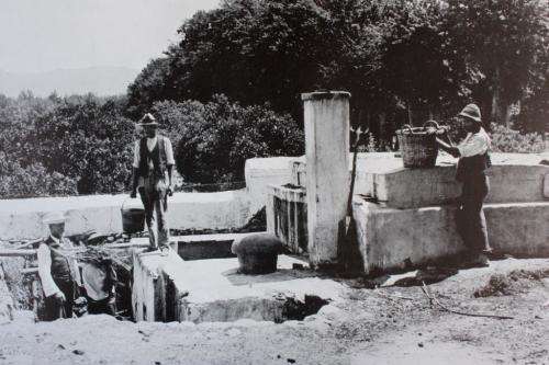 "Architectural Beauty of the Old Cape" (Arthur Elliott's photographs)