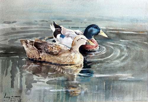 Lucy Wiles - Ducks - A beautiful watercolor painting. Investment art, bid now!