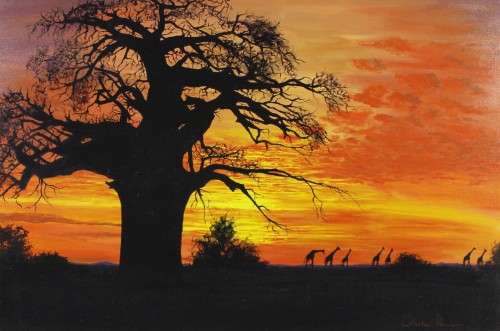 Wilhelm Ploner - Bushveld sunset - A stunning piece of art!! 90cm x 60cm *Free courier! Bid now!!
