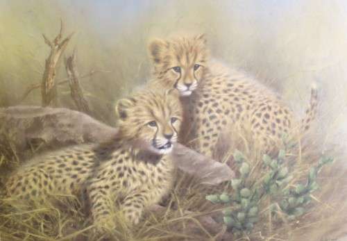 Vic Andrews - pair of cheetah cubs