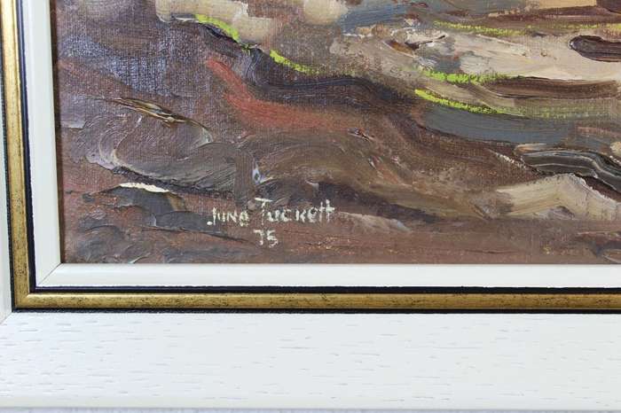 June Tucket - Junkets on the river