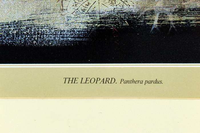 Keith Joubert - Limited edition lithoprint - The Leopard