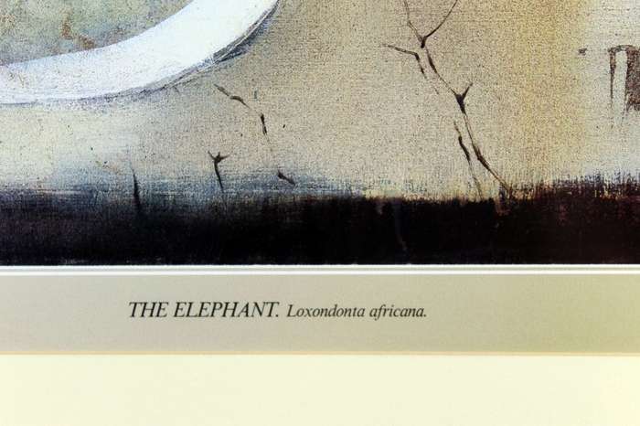 Keith Joubert - limited edition lithoprint - the elephant