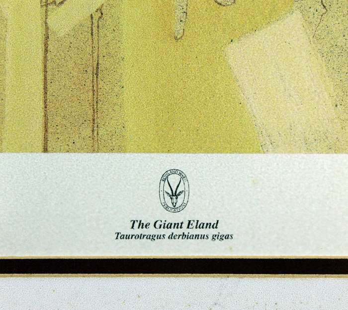 Keith Joubert - Limited edition lithoprint - The Giant Eland