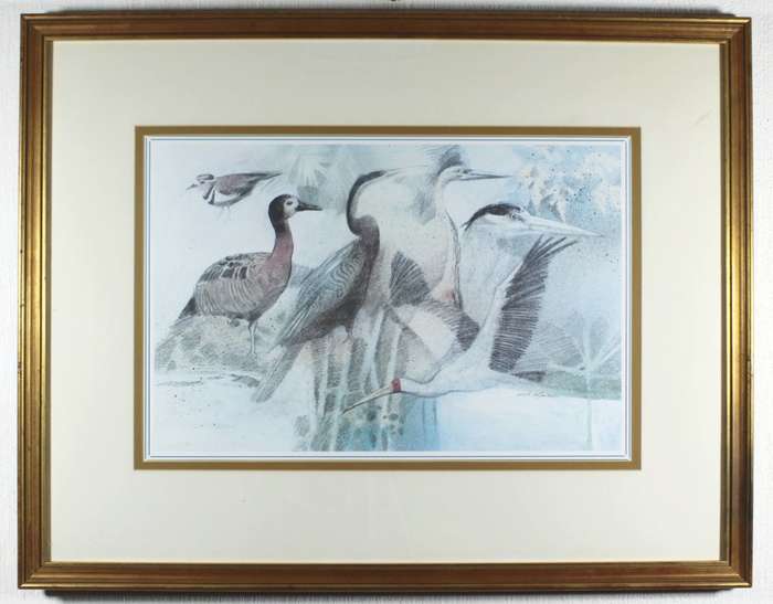 Mark Enslin - Birds