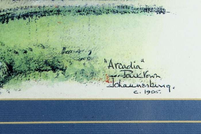 Phillip Bawcombe - Arcadia Parktown