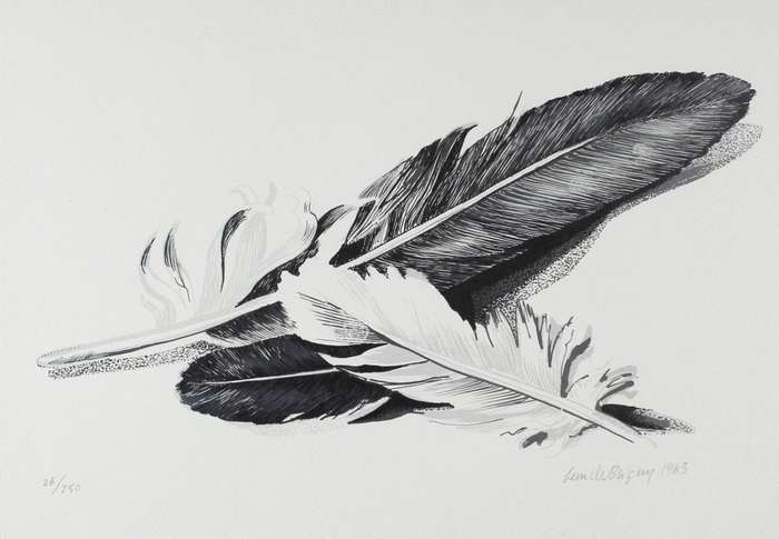 Leon de Bliquy - Feathers