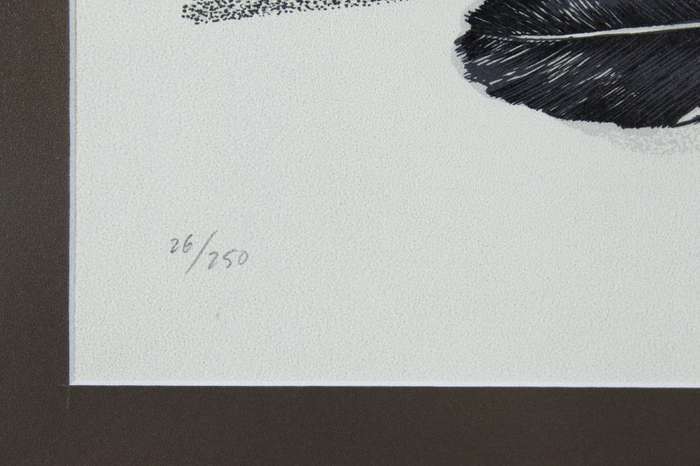 Leon de Bliquy - Feathers