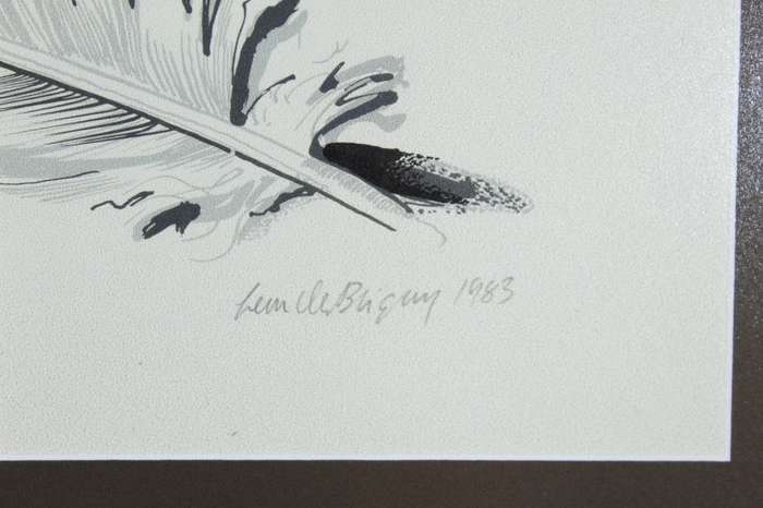 Leon de Bliquy - Feathers