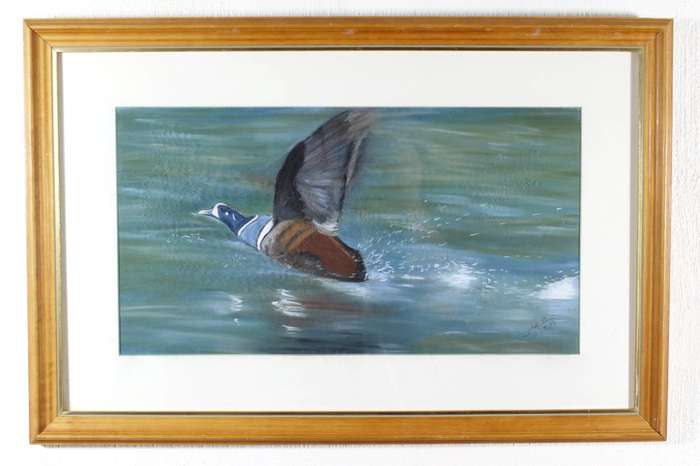 P Gehot - Duck in flight