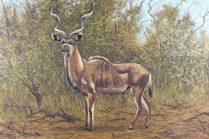Gerhard Wagner - Kudu bull