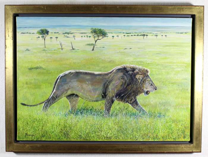 McAllistair- Lion on the prowl