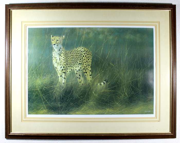 Kim Donaldson - Cheetah