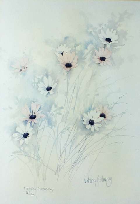 Nicholas Galloway - Cosmos One