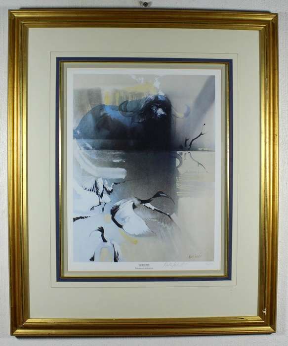 Keith Joubert - Limited edition lithoprint -  Sacred Ibis