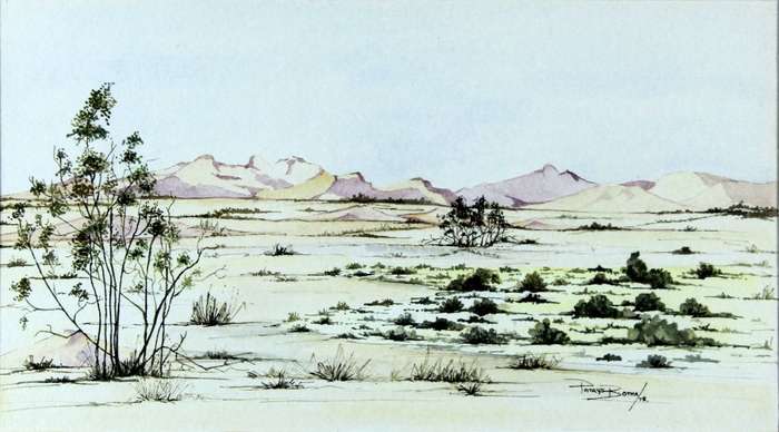 Patrys Botha - Namibia desert scene with trees