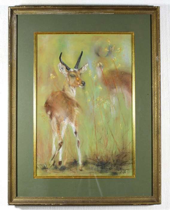 JD Adayar - Buck in the tall grass