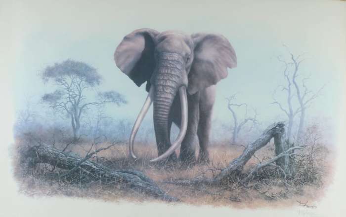 Dennis Murphy - Ahmed of Kenya
