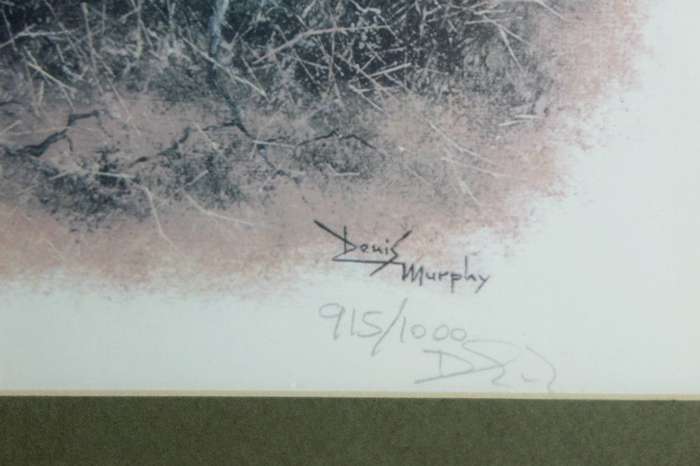 Dennis Murphy - Ahmed of Kenya